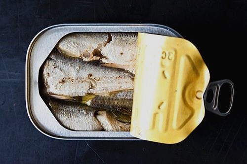 Canned sardine in brine