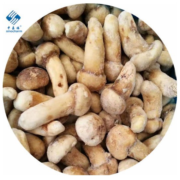 Acquista Matsutake congelato,Matsutake congelato prezzi,Matsutake congelato marche,Matsutake congelato Produttori,Matsutake congelato Citazioni,Matsutake congelato  l'azienda,