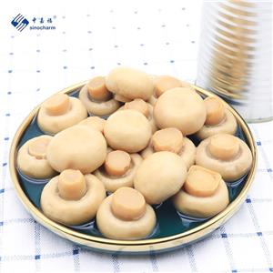 Canned Champignon Mushroom Whole