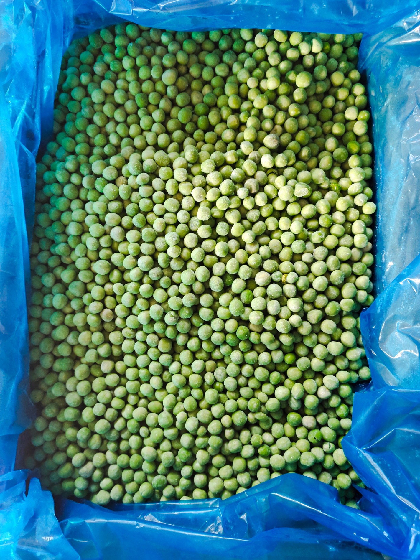 Acheter Pois vert bio surgelé,Pois vert bio surgelé Prix,Pois vert bio surgelé Marques,Pois vert bio surgelé Fabricant,Pois vert bio surgelé Quotes,Pois vert bio surgelé Société,