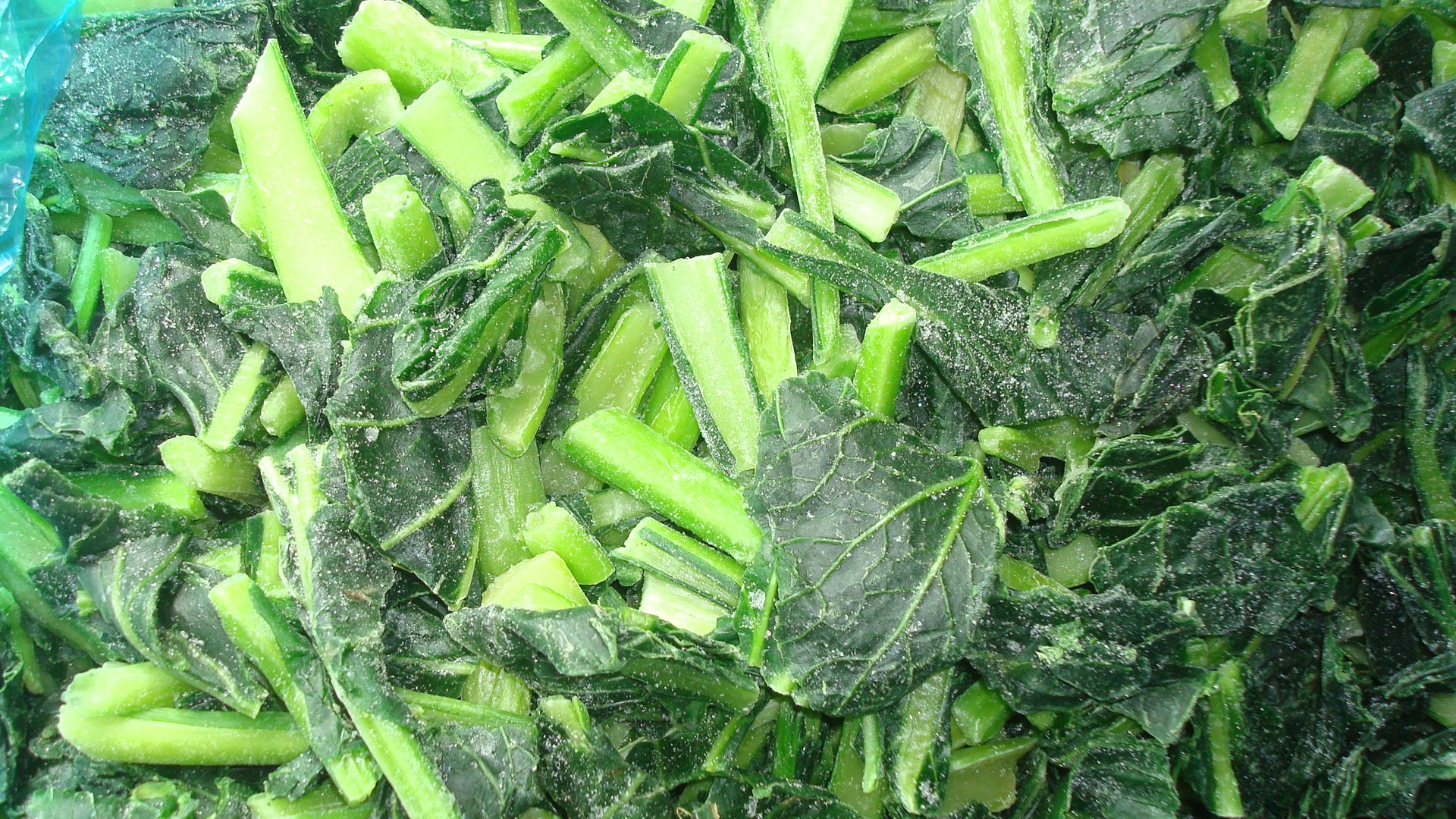 Kaufen Qing Geng Cai Shanghai GreenTerrier IQF Gefroren Bak Choi Pakchoi Bokchoy;Qing Geng Cai Shanghai GreenTerrier IQF Gefroren Bak Choi Pakchoi Bokchoy Preis;Qing Geng Cai Shanghai GreenTerrier IQF Gefroren Bak Choi Pakchoi Bokchoy Marken;Qing Geng Cai Shanghai GreenTerrier IQF Gefroren Bak Choi Pakchoi Bokchoy Hersteller;Qing Geng Cai Shanghai GreenTerrier IQF Gefroren Bak Choi Pakchoi Bokchoy Zitat;Qing Geng Cai Shanghai GreenTerrier IQF Gefroren Bak Choi Pakchoi Bokchoy Unternehmen