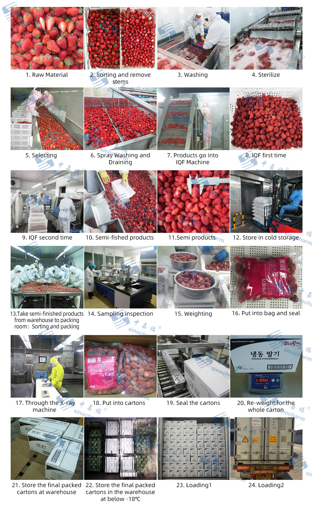 Flowchart of Frozen Strawberry.jpg