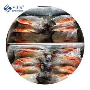 IQF 냉동 Red Pomfret Red pacu fish