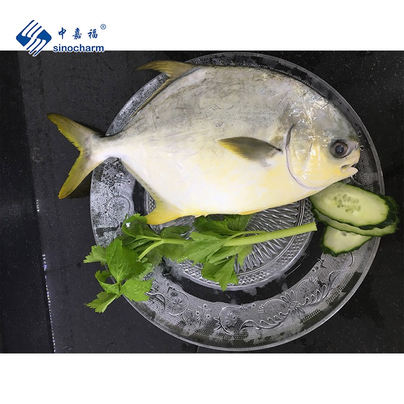 Kaufen Gefrorener goldener Pompano;Gefrorener goldener Pompano Preis;Gefrorener goldener Pompano Marken;Gefrorener goldener Pompano Hersteller;Gefrorener goldener Pompano Zitat;Gefrorener goldener Pompano Unternehmen