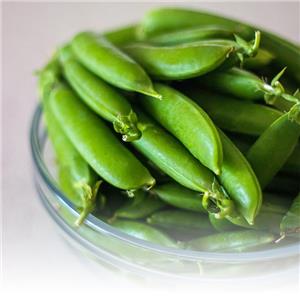 Der Produktionsprozess von gefrorenen Snap Peas