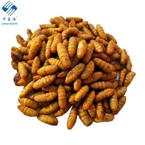 Sinocharm Brc a aprovado IQF Silkworm Chrysalis Frozen Silkworm Chrysalis