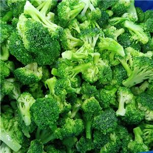 New Equipment for Frozen Broccoli Production