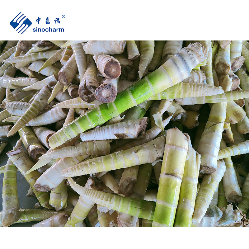 شراء IQF Leizun Frozen Thunder Bamboo Shoot ,IQF Leizun Frozen Thunder Bamboo Shoot الأسعار ·IQF Leizun Frozen Thunder Bamboo Shoot العلامات التجارية ,IQF Leizun Frozen Thunder Bamboo Shoot الصانع ,IQF Leizun Frozen Thunder Bamboo Shoot اقتباس ·IQF Leizun Frozen Thunder Bamboo Shoot الشركة