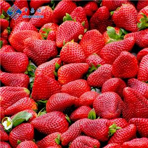 Frozen Strawberry Market Information