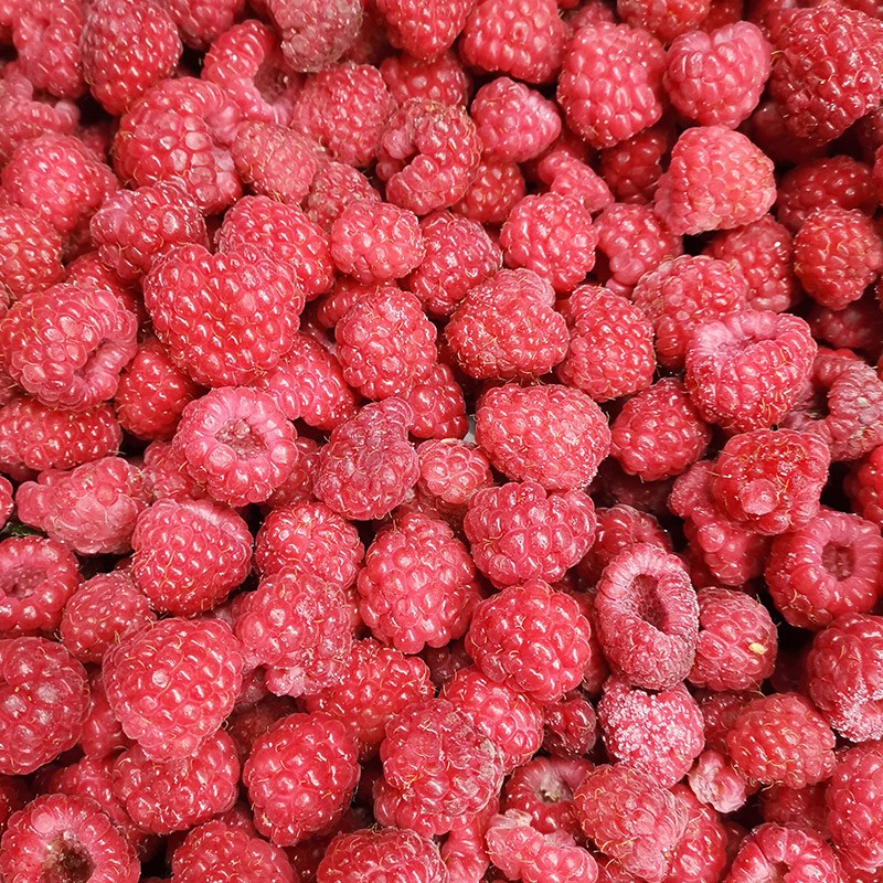 IQF Frozen raspberry 95 whole