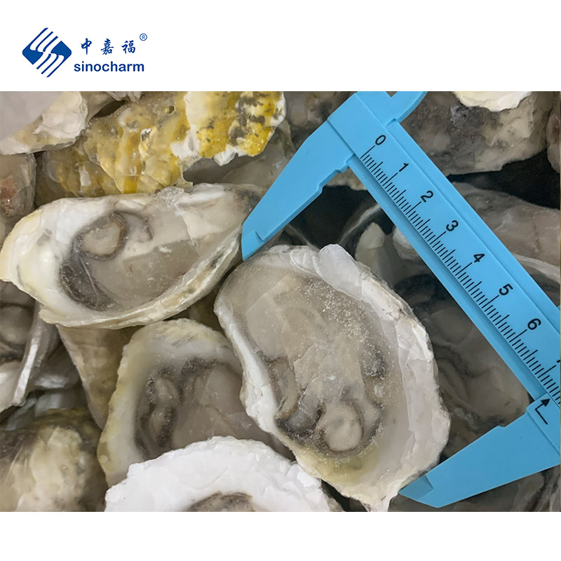 FROZEN OYSTER MEAT