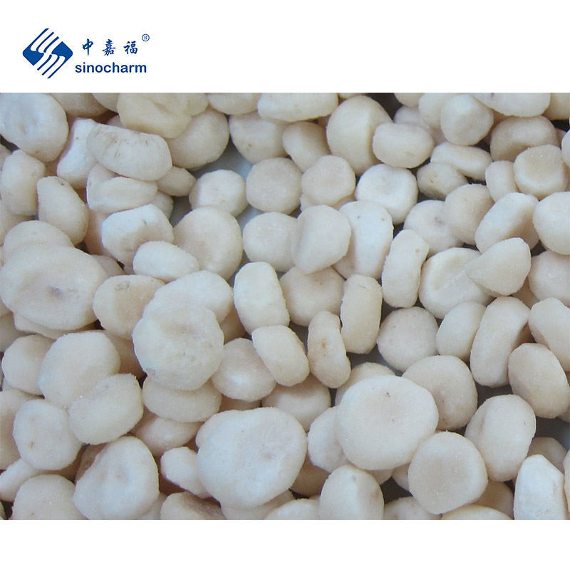 Frozen Vegetables, Frozen Mushrooms, Frozen Fruits Suppliers - Xiamen 