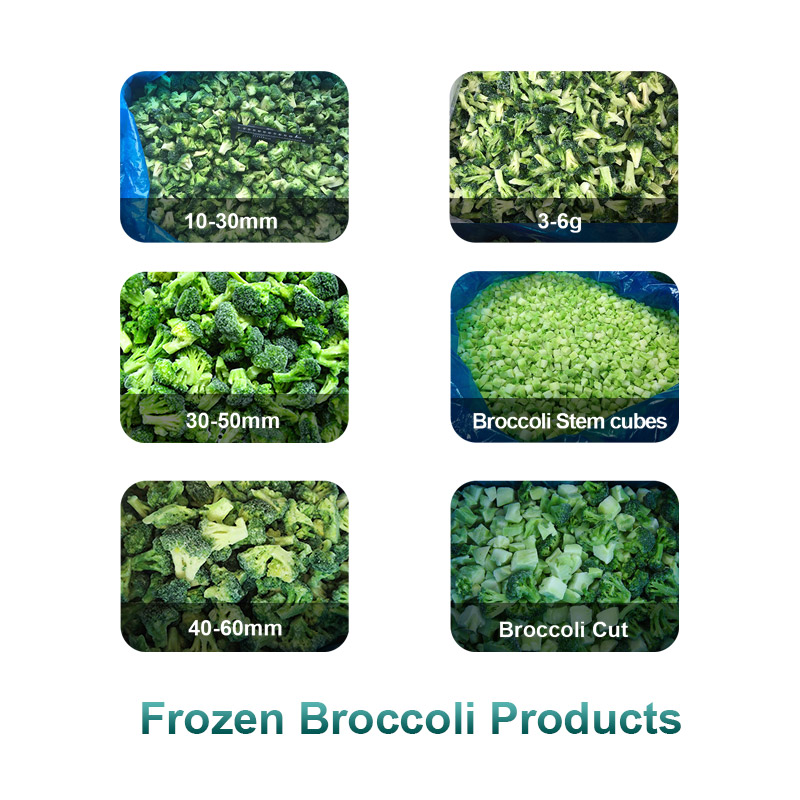 IQF Broccoli