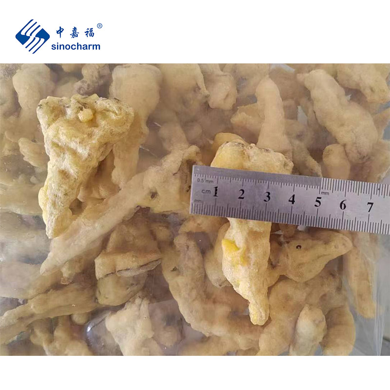 Frozen Fried Oyster Mushroom