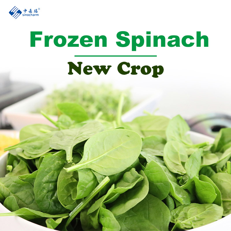 Frozen Spinach: Understanding Its Harvest Season, and Enjoying Fresh Deliciousness
