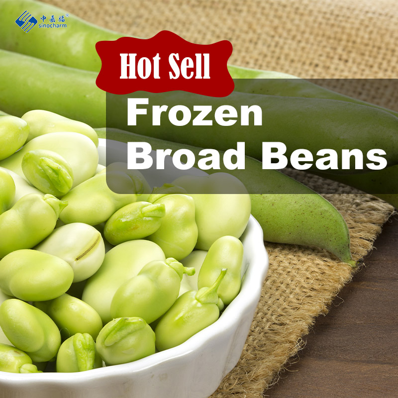 Frozen Broad Beans: High-Quality Frozen Vegetables, Ideal for the European Market