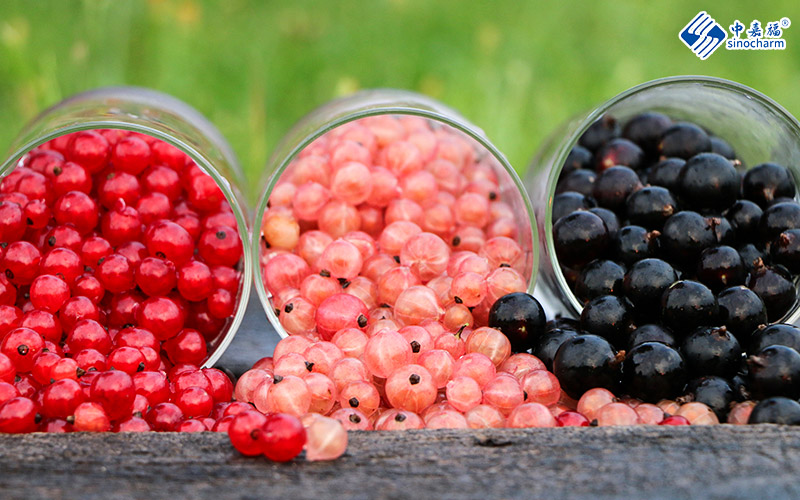 Frozen Black Currant