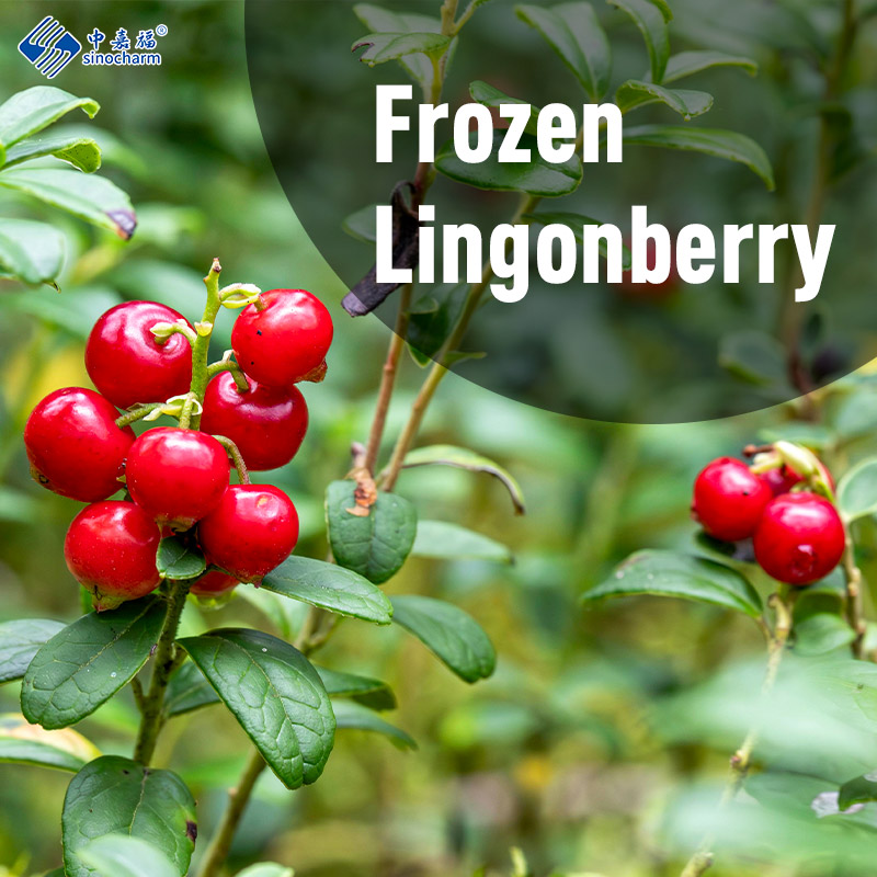 Frozen Lingonberry and Blackcurrants Prices Surge, Stirring Waves in the Frozen Fruits and Vegetables Market