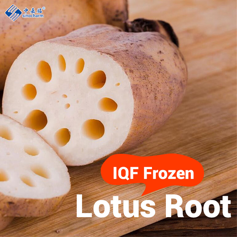 Craving Fresh Lotus Root? Sinocharm Frozen Lotus Root Satisfies Your Taste Buds!