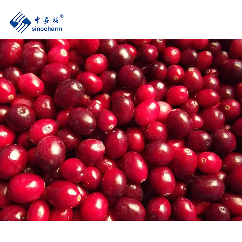IQF Frozen Cranberry