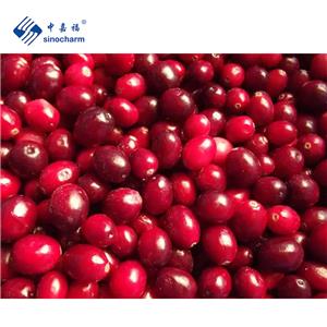 IQF Frozen Cranberry