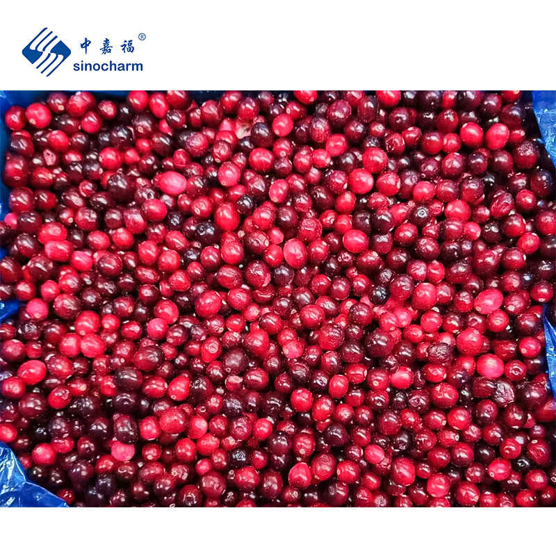 IQF Frozen Cranberry
