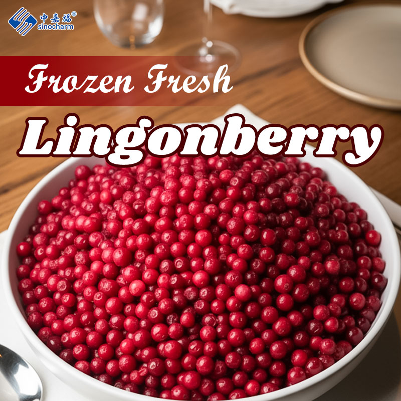 IQF Frozen Lingonberry Expert: How Sinocharm Ensures Superior Quality from Farm to Table
