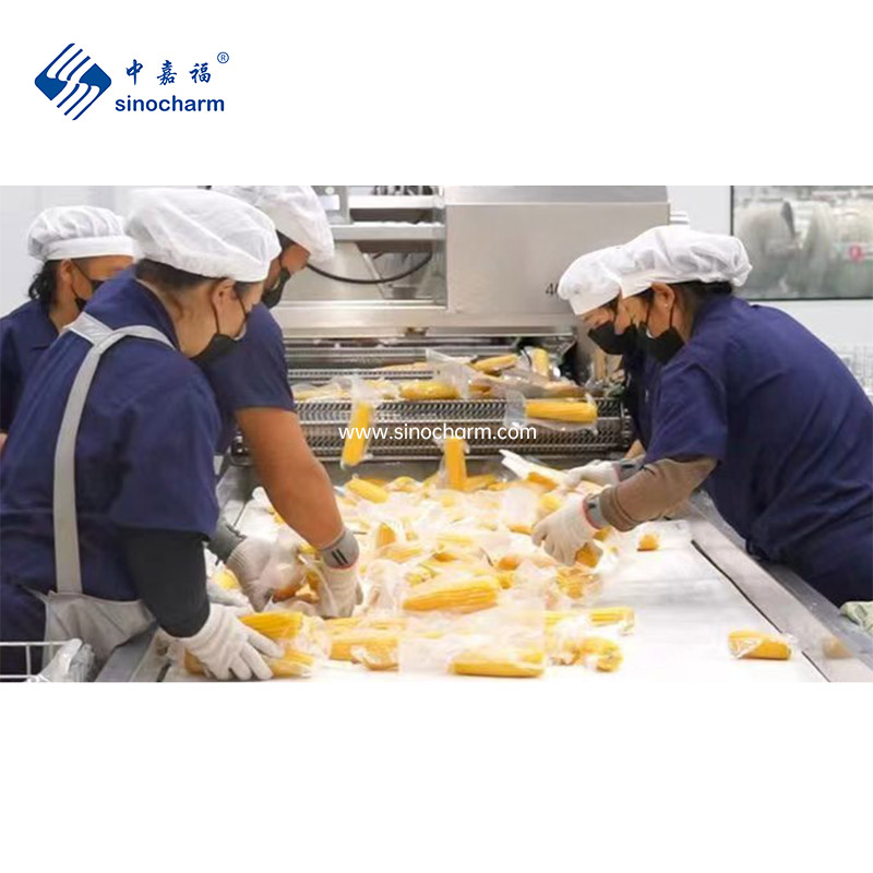 Comprar Mazorca de maíz dulce al vacío, Mazorca de maíz dulce al vacío Precios, Mazorca de maíz dulce al vacío Marcas, Mazorca de maíz dulce al vacío Fabricante, Mazorca de maíz dulce al vacío Citas, Mazorca de maíz dulce al vacío Empresa.