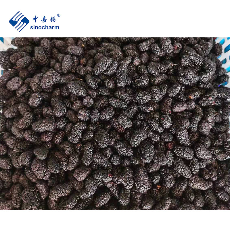 IQF Frozen Mulberry