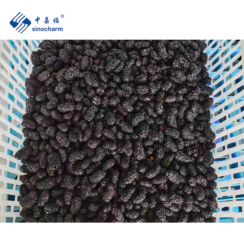 Wholesale Frozen Mulberry