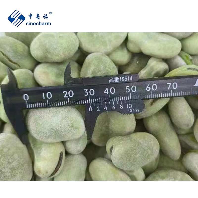 주문 IQF 냉동 잠두,IQF 냉동 잠두 가격,IQF 냉동 잠두 브랜드,IQF 냉동 잠두 제조업체,IQF 냉동 잠두 인용,IQF 냉동 잠두 회사,