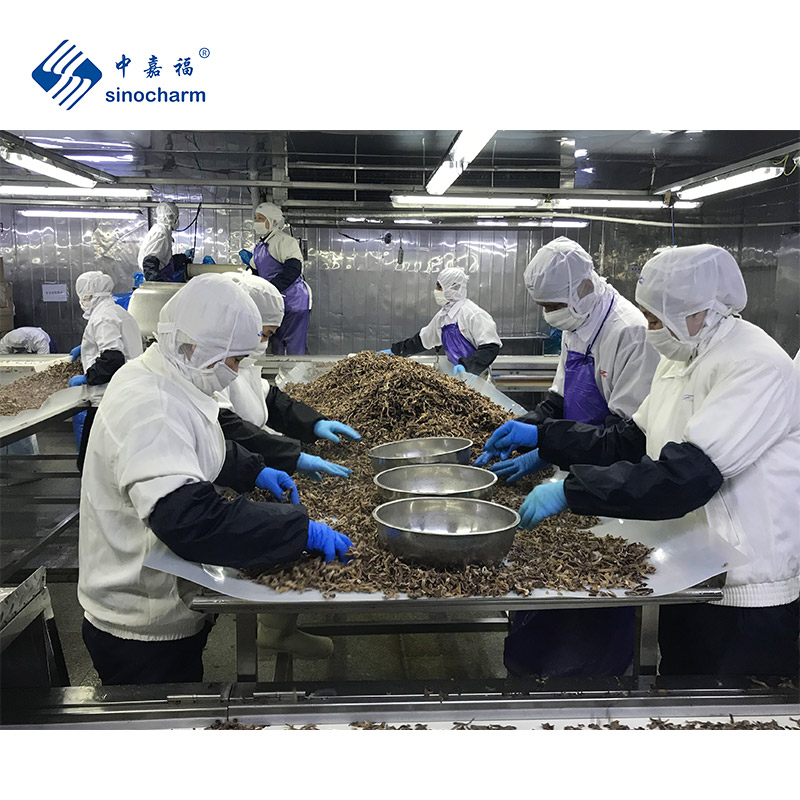 IQF Frozen Black Fungus