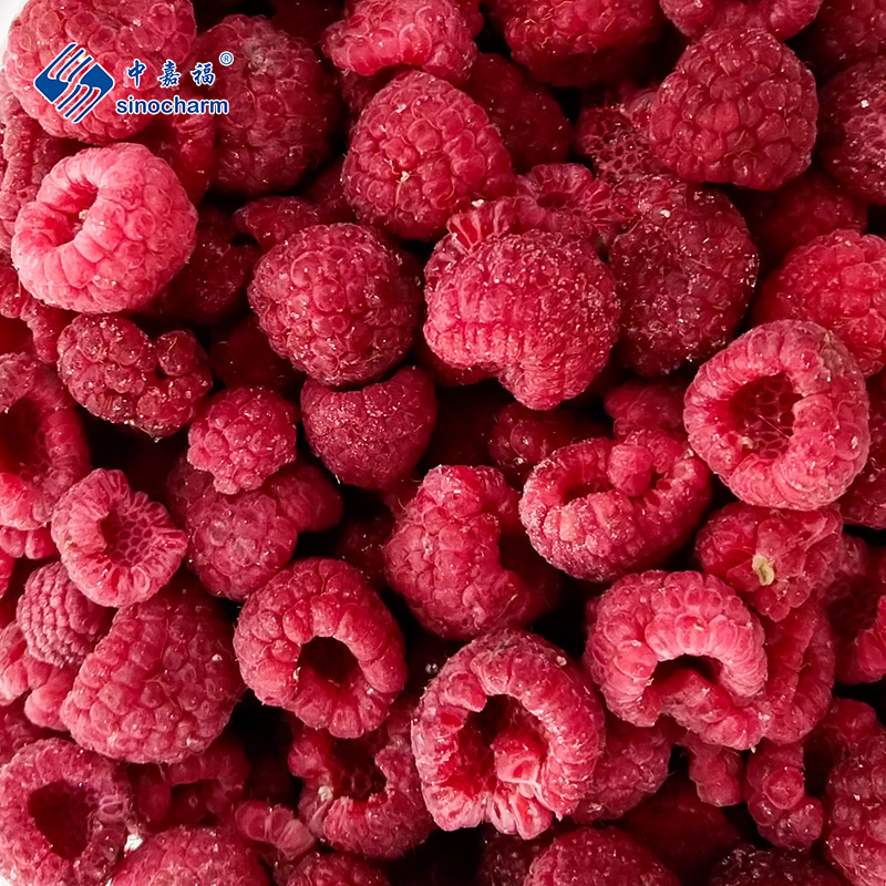 주문 IQF 냉동 라즈베리,IQF 냉동 라즈베리 가격,IQF 냉동 라즈베리 브랜드,IQF 냉동 라즈베리 제조업체,IQF 냉동 라즈베리 인용,IQF 냉동 라즈베리 회사,