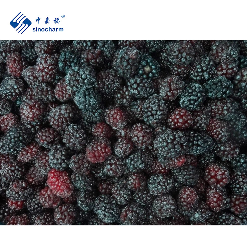 IQF Frozen Blackberry