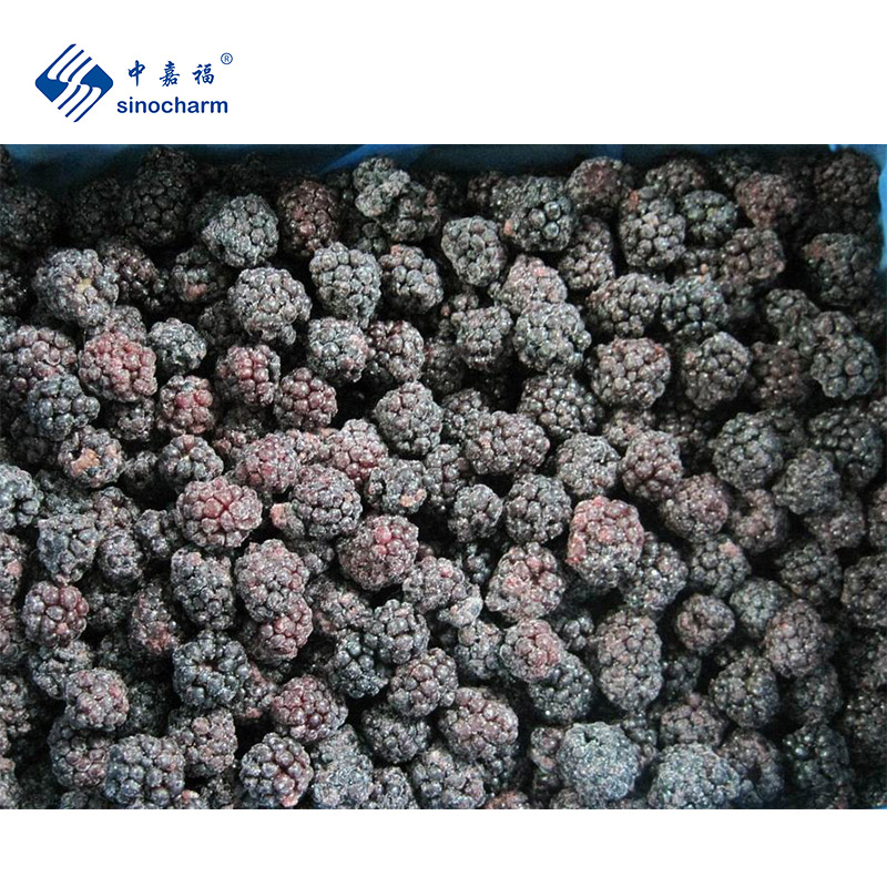 IQF Frozen Blackberry