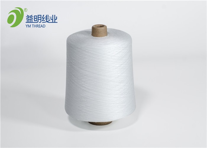 購買色紡滌綸線,色紡滌綸線價格,色紡滌綸線品牌,色紡滌綸線制造商,色紡滌綸線行情,色紡滌綸線公司