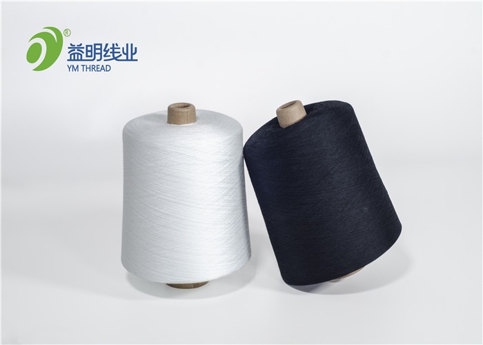 購買色紡滌綸線,色紡滌綸線價格,色紡滌綸線品牌,色紡滌綸線制造商,色紡滌綸線行情,色紡滌綸線公司