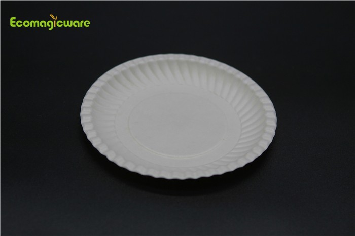 Eco Friendly Disposable Round Plate