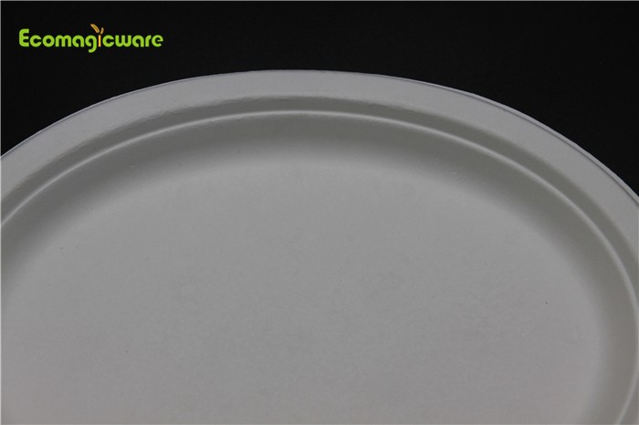 Eco Friendly Disposable Takeaway Plate Manufacturers, Eco Friendly Disposable Takeaway Plate Factory, Supply Eco Friendly Disposable Takeaway Plate
