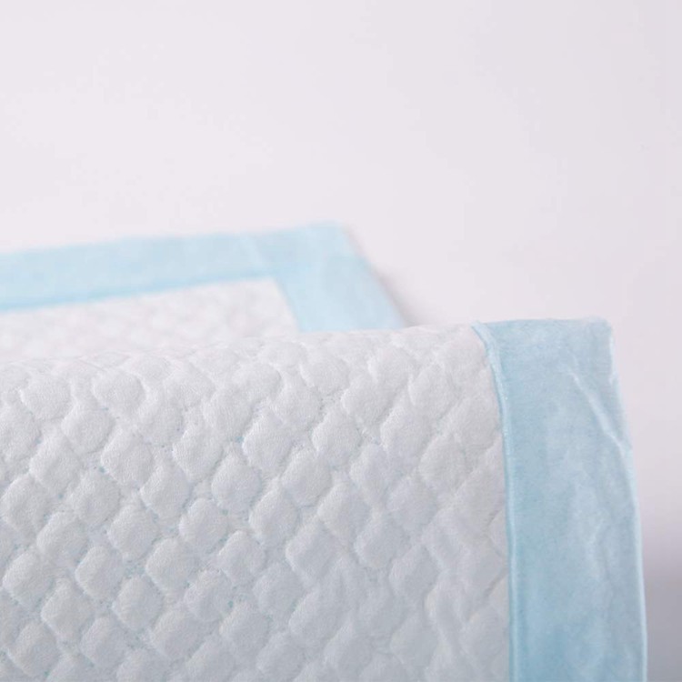 animaze training pads