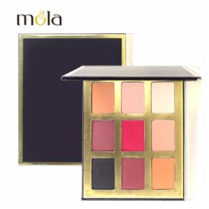 Paleta magnética da sombra da sombra alta do pigmento