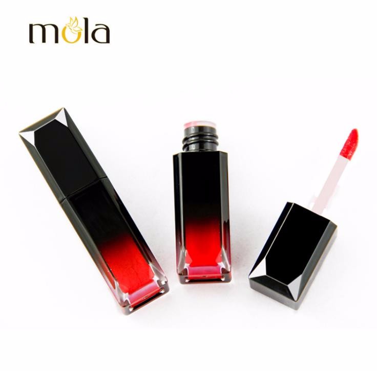 Luxury Long Lasting Glossy Lipstick
