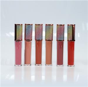 Good Long Lasting Shimmer Lip Gloss