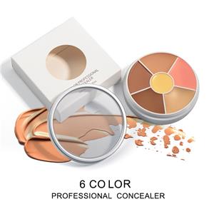 Low Moq New Vegan Professional Makeup Concealer Palette Private Label