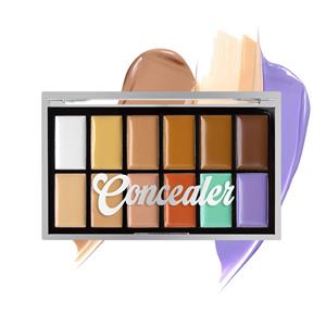 Color Correcting Concealer Pro Palette