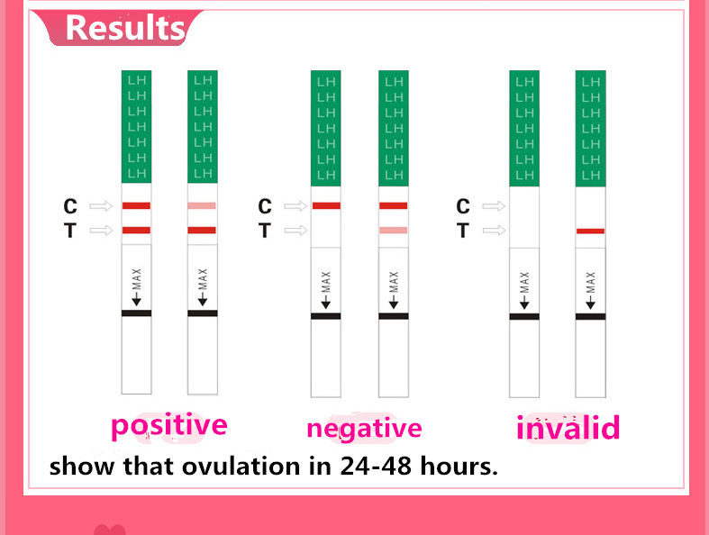 lh ovulation test