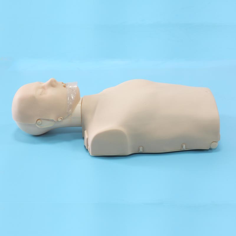 شراء نصف الجسم CPR القزم مع الصمام الخفيفة ,نصف الجسم CPR القزم مع الصمام الخفيفة الأسعار ·نصف الجسم CPR القزم مع الصمام الخفيفة العلامات التجارية ,نصف الجسم CPR القزم مع الصمام الخفيفة الصانع ,نصف الجسم CPR القزم مع الصمام الخفيفة اقتباس ·نصف الجسم CPR القزم مع الصمام الخفيفة الشركة