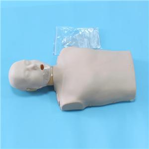 Mannequin CPR demi-corps avec lumière LED