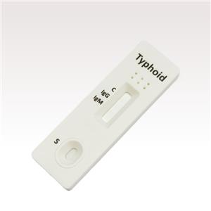 Typhoid IgG/IgM Rapid test cassette