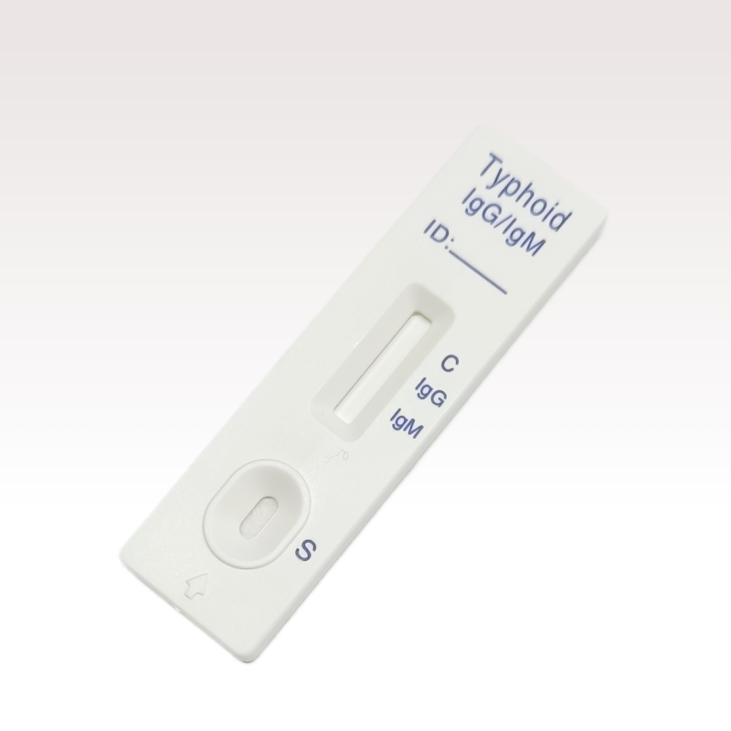 Typhoid IgG/IgM Rapid test cassette